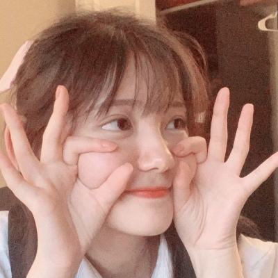 动物朋友3游戏破解版下载